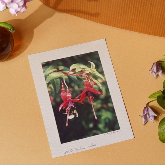 Wild Flower Stationary Card - Picture 5 of 15